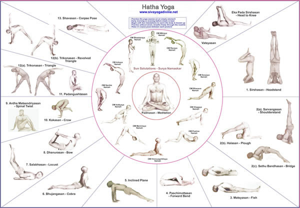 download link for PDF version of yoga chart